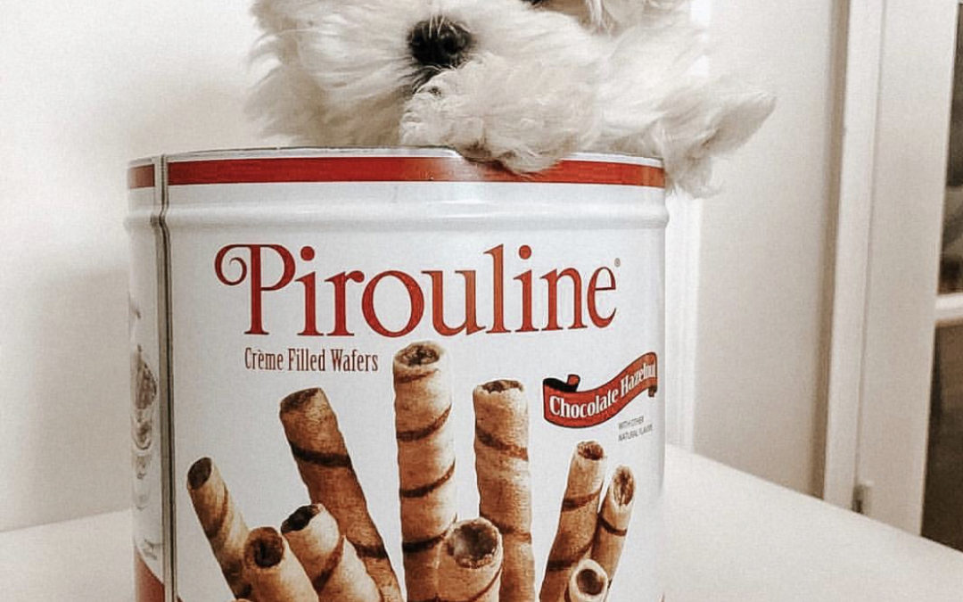 How To Gift Piroulines This Holiday